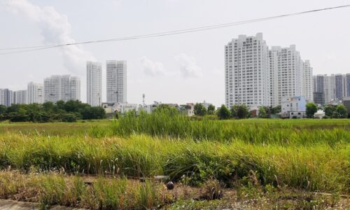 Đề xuất thay đổi chính sách để doanh nghiệp có thể mua đất nông nghiệp để đầu tư