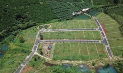 Quy định Mới về Tách Thửa và Hợp Thửa Đất tại Lâm Đồng: Những Thay Đổi Quan Trọng