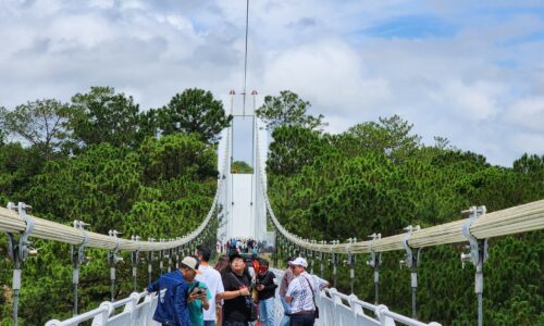 Dự án Đưa Cầu Đáy Kính Dài 325m ở Đà Lạt: Trải Nghiệm Độc Đáo Cho Du Khách