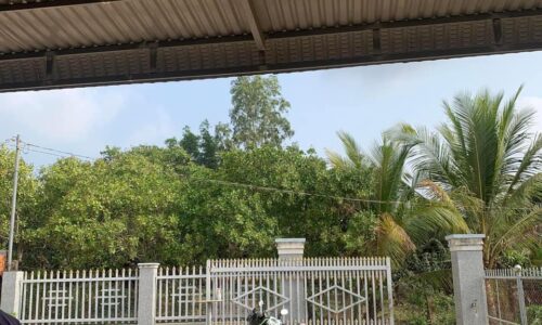 Cơ Hội Đầu Tư Tuyệt Vời! Nhà Ở – Kinh Doanh Tại Vị Trí Đắc Địa
