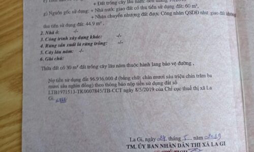 Cơ hội đầu tư lớn tại Láng Sơn – Đất Mặt Tiền Nguyễn Tri Phương, Tân Bình, Lagi!